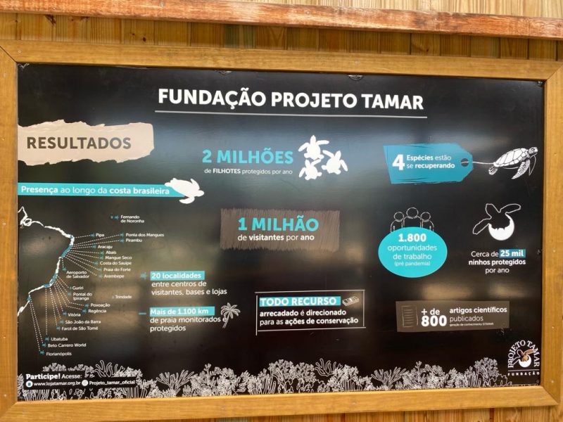 O Projeto Tamar est&aacute; presente em 20 localidades, entre centros de visitantes, bases e lojas, com monitoramento de mais de 1.100 km de praia&nbsp; – Foto: JP Bianchi/ND