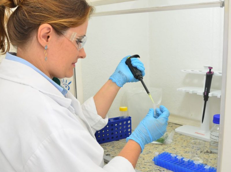 Inscri&ccedil;&otilde;es v&atilde;o at&eacute; o dia 21 de janeiro e resultado sa&iacute; no dia 7 de fevereiro