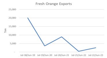 N&uacute;meros da exporta&ccedil;&atilde;o de laranjas frescas brasileiras est&aacute; diminuindo – Foto: OAA Brasilia/ND