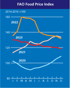 Na tabela &eacute; poss&iacute;vel comparar os pre&ccedil;os de 2020 at&eacute; 2023 – Foto: FAO/ND