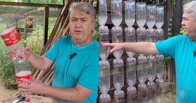 J&uacute;nior explica como a garrafa pet deve ser cortada e alinhada no jardim vertical – Foto: Reprodu&ccedil;&atilde;o/YouTube/ND