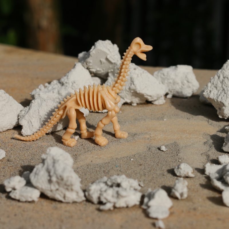 Agenda cultural tamb&eacute;m conta com oficina de f&oacute;sseis para as crian&ccedil;as em Shopping de Blumenau – Foto: Divulga&ccedil;&atilde;o/Reprodu&ccedil;&atilde;o/ND