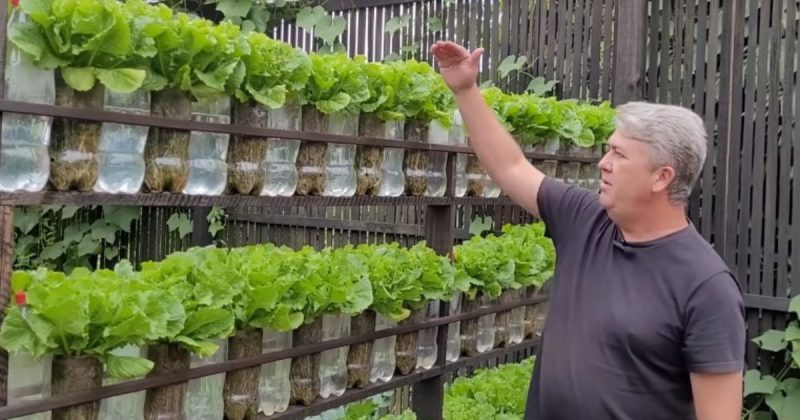 J&uacute;nior ensina macetes para criar um horta vertical e funcional – Foto: Reprodu&ccedil;&atilde;o/YouTube/ND