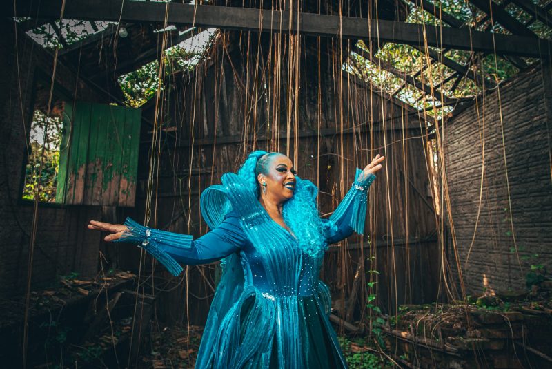 Elenco de “Into the Woods – Pela Floresta” conta com elenco de artistas catarinenses – Foto: Divulga&ccedil;&atilde;o