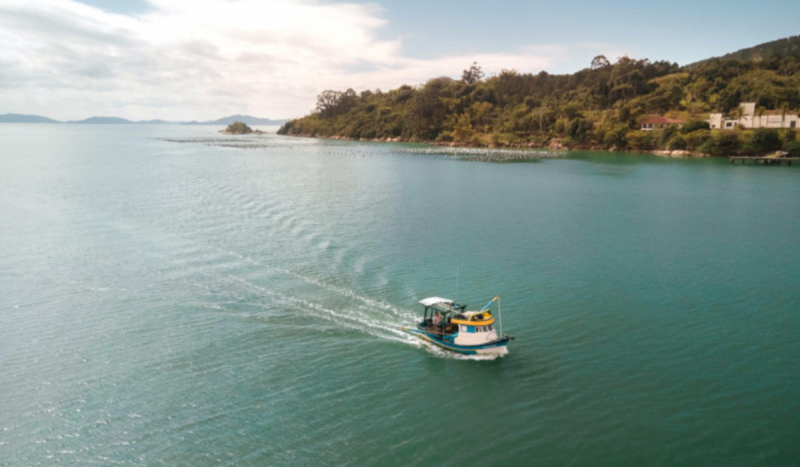 Reserva Biológica do Arvoredo, em Governador Celso Ramos - Ponta dos Ganchos/Divulgação/ND