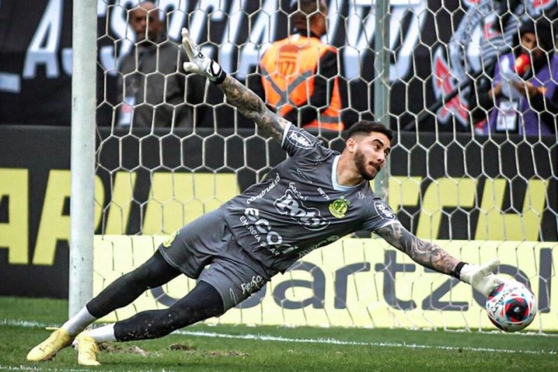 Novo goleiro do Avaí