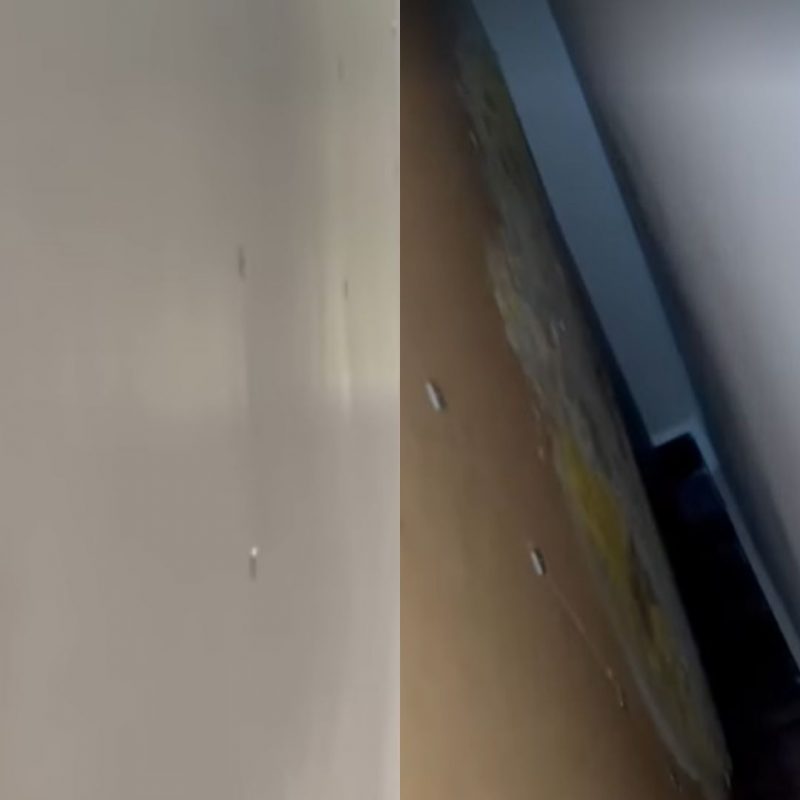 Homem mostra como acabar com local mofado sem usar isopor – Foto: Divulga&ccedil;&atilde;o/Reprodu&ccedil;&atilde;o/ND