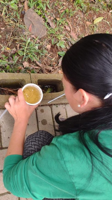 Foram registrados 16 novos focos do mosquito Aedes aegypti em Chapecó - Foto: Prefeitura de Chapecó/ Divulgação / ND