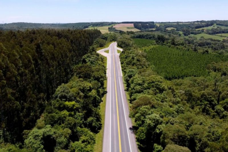Trecho da BR-280 no Planalto Norte de Santa Catarina. Imagem mostra a rodovia no centro da foto, rodeada de florestas