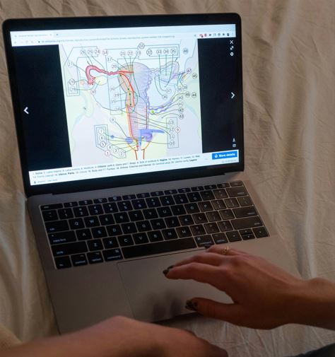 Endometriose infiltrativa pode atingir outros órgãos