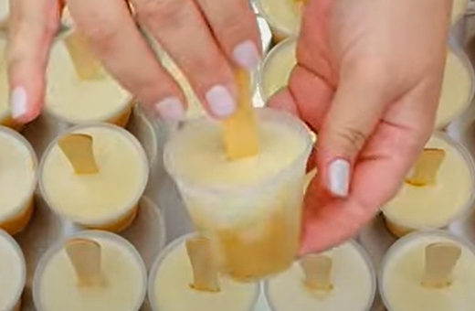 Receita de picolé de pudim