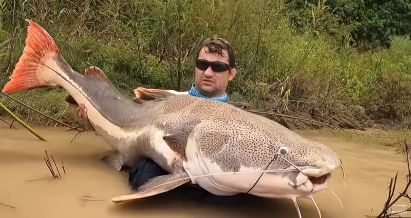 F&aacute;bio Fregona tentou, mas n&atilde;o conseguiu levantar o peixe colossal – Foto: Reprodu&ccedil;&atilde;o/YouTube/ND