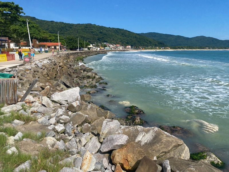 Presença indesejada: carcaça gigante e malcheirosa segue em praia de Florianópolis por 5 dias