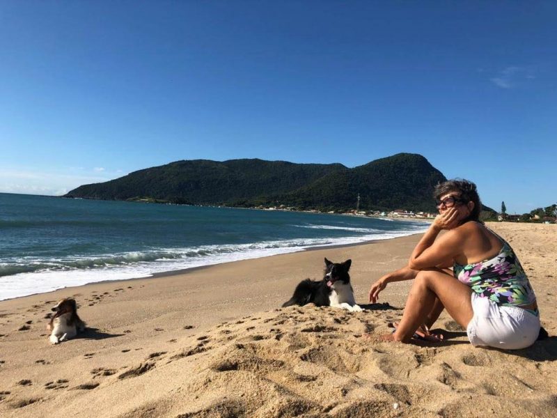 Os pets Bali e Lua passeiam na praia com supervisão de tutores