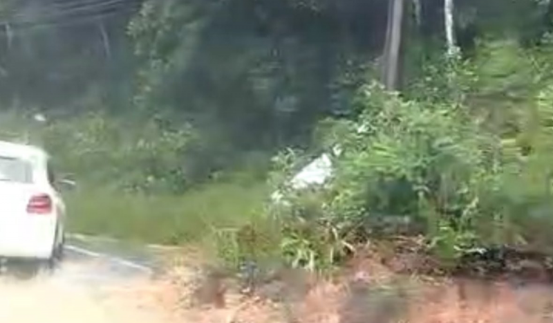 Na foto é possível ver lama e vegetação invadindo uma rua após fortes chuvas