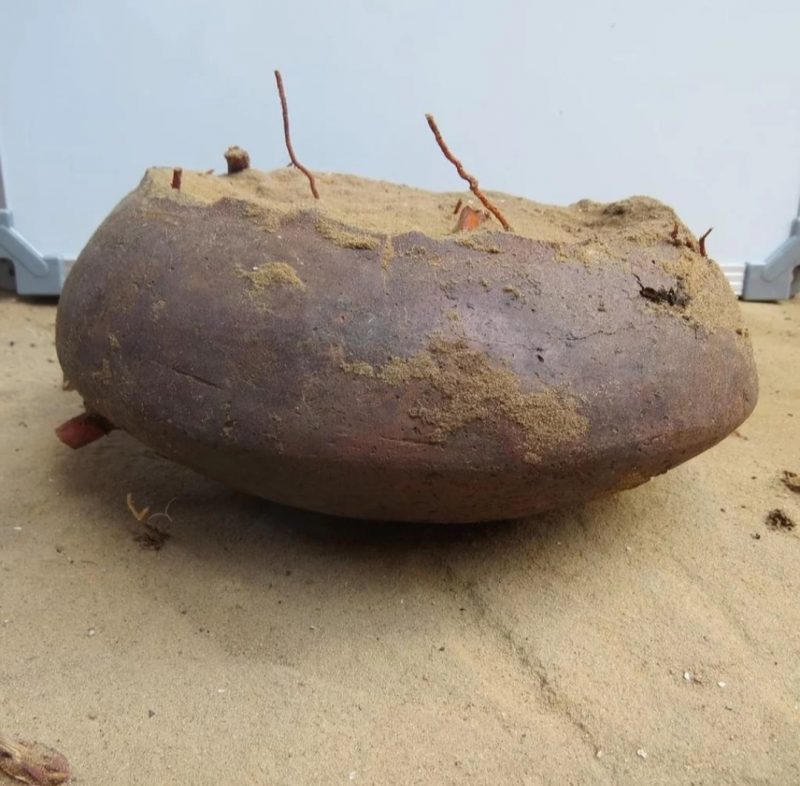 O arque&oacute;logo Wellington Lage, respons&aacute;vel pelo resgate dos esqueletos e pe&ccedil;as, destaca a intrigante mistura de pe&ccedil;as de diferentes per&iacute;odos, indicando quatro ocupa&ccedil;&otilde;es distintas – Foto: WLage – Arqueologia/Reprodu&ccedil;&atilde;o/ND