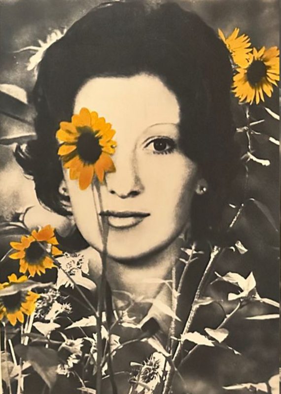 S&eacute;rie “Ela e Os Jardins #3” da artista Dani Remi&atilde;o, &eacute; uma das 50 obras da exposi&ccedil;&atilde;o coletiva “Al&eacute;m-mar” que abre quinta-feira (18) na Funda&ccedil;&atilde;o Cultural Badesc em Florian&oacute;polis. – Foto: Dani Remi&atilde;o/Divulga&ccedil;&atilde;o