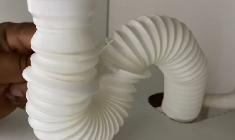 Cano de pia pode hospedar ovos de moscas