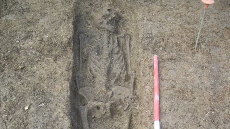 Imagem de esqueleto com síndrome de Turner em escavação arqueológica