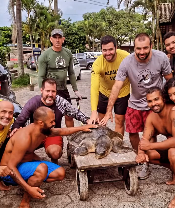 Equipe parou treino para resgatar animal debilitado – Foto: @kanaloavaa/Instagram/Reprodu&ccedil;&atilde;o/ND