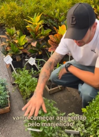 Rafael Barbosa dá dicas de plantas que são repelentes naturais e podem ajudar a espantar os insetos