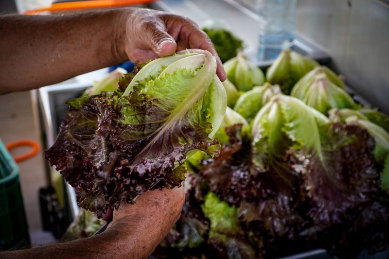 At&eacute; o fim do m&ecirc;s de fevereiro ser&atilde;o realizados 83 treinamentos em munic&iacute;pios de diversas regi&otilde;es do Estado. – Foto: Ricardo Wolffenb&uuml;ttel/Governo de SC/ND