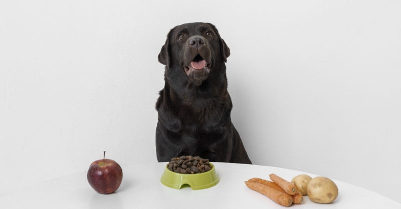 Cachorro aparece atrás de uma mesa que contém ração, maçã, cenouras e batatas