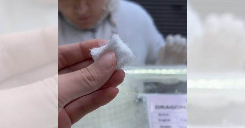 Barba de dragão: descubra como doce viral no TikTok é feito na Coréia do Sul 