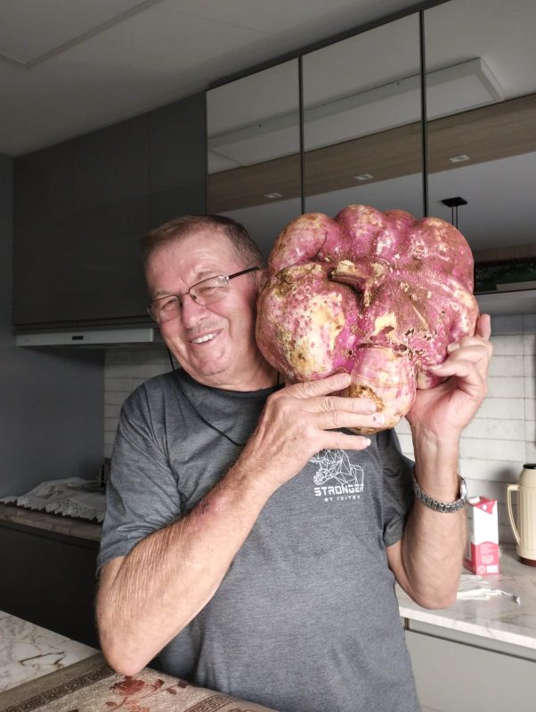 O produtor rural Nivaldo Wruck, de 69 anos, decidiu fazer uma boa ação e doou a batata-doce que colheu na cidade 