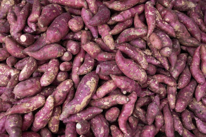 batata-doce