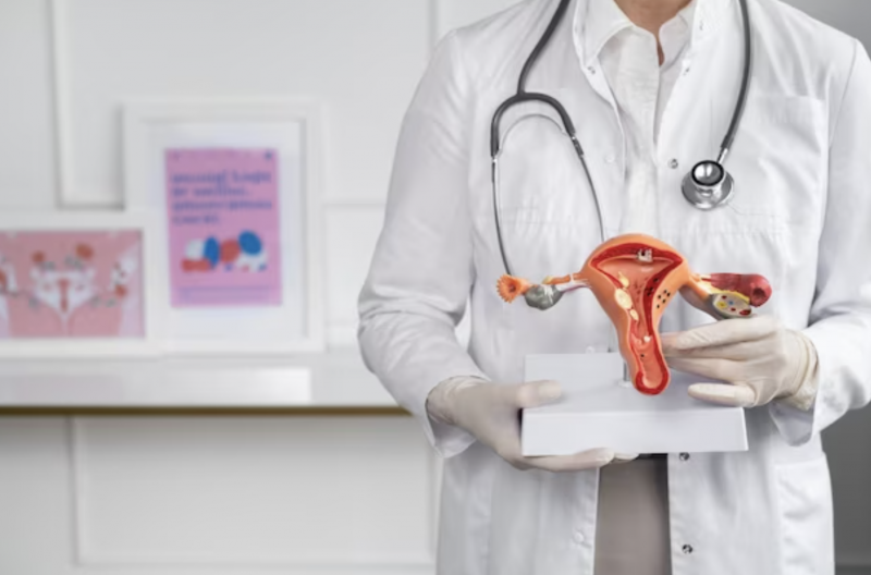 Médico com estetoscópio no pescoço e segurando miniatura de útero