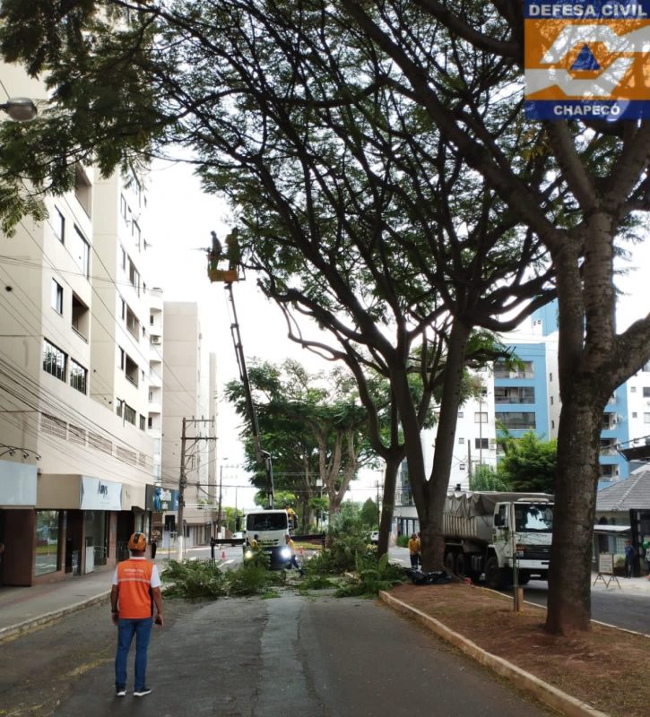 Cerca de 16 &aacute;rvores foram podadas em Chapec&oacute; – Foto: Defesa Civil/Divulga&ccedil;&atilde;o/ND