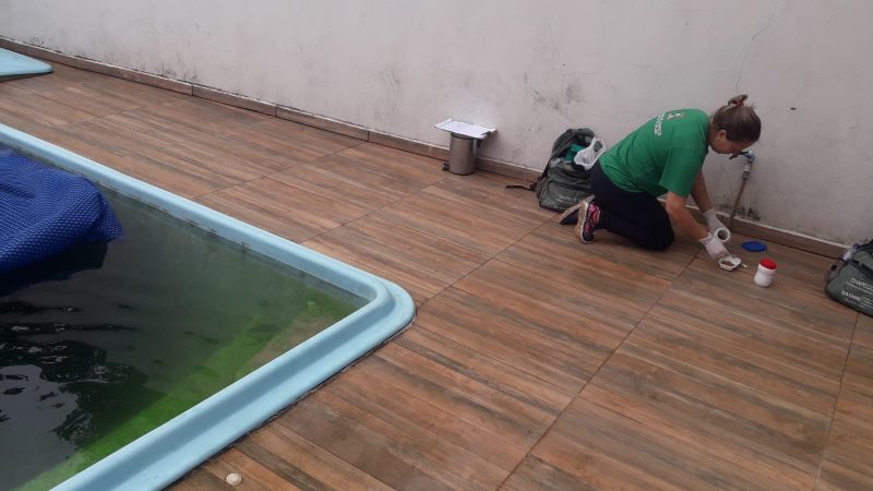 Ser&atilde;o realizadas novas a&ccedil;&otilde;es de combate &agrave; dengue com in&iacute;cio no s&aacute;bado (17) – Foto: Imprensa Chapec&oacute;/Divulga&ccedil;&atilde;o/ND