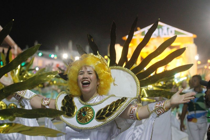 Fantasia da escola de samba União da Ilha da Magia