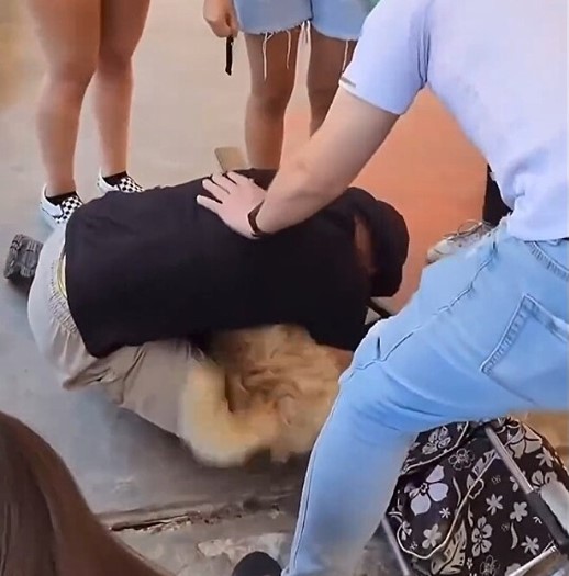 Jovem se ajoelha ao reencontrar seu c&atilde;o depois de dias desaparecido – Foto: Reprodu&ccedil;&atilde;o/X/ND