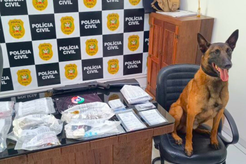 Cão da polícia atua na Operação Rescaldo e posa para foto com drogas e armas apreendidas. 