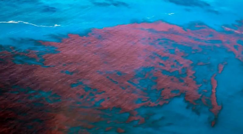 Mais de 400 pessoas j&aacute; tiveram intoxica&ccedil;&atilde;o causados pela mar&eacute; vermelha – Foto: Cetesb/Reprodu&ccedil;&atilde;o/ND