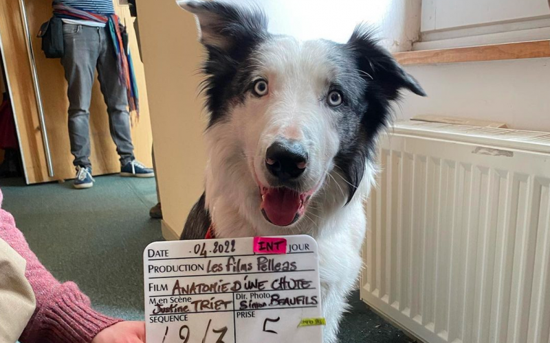 O cachorro Messi posa com a claquete durante as gravações do longa francês "Anatomia de Uma Queda".