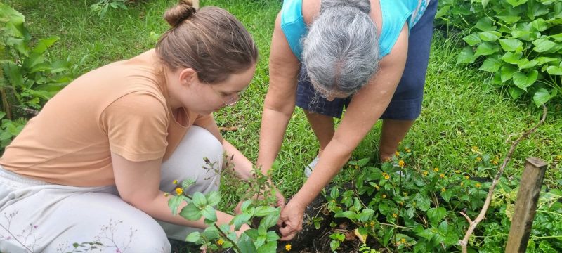 Médica e paciente participam juntas de horta como terapia 