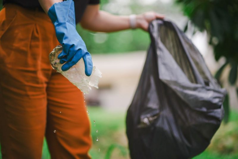 Eliminar criadouros contra a dengue é medida importante 