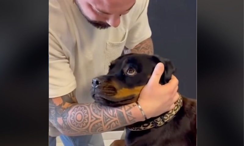 V&iacute;deo hil&aacute;rio viralizou no TikTok – Foto: Reprodu&ccedil;&atilde;o