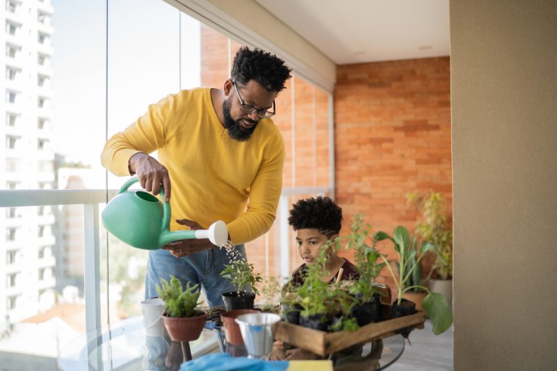 A comunicação entre as plantas é uma forma de identificar perigosos e situações que podem afetar outros vegetais