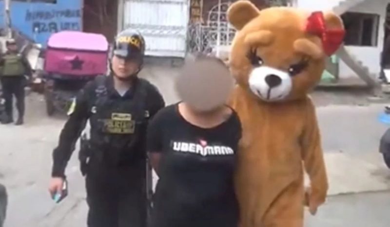 ursinho prende suspeita de tráfico