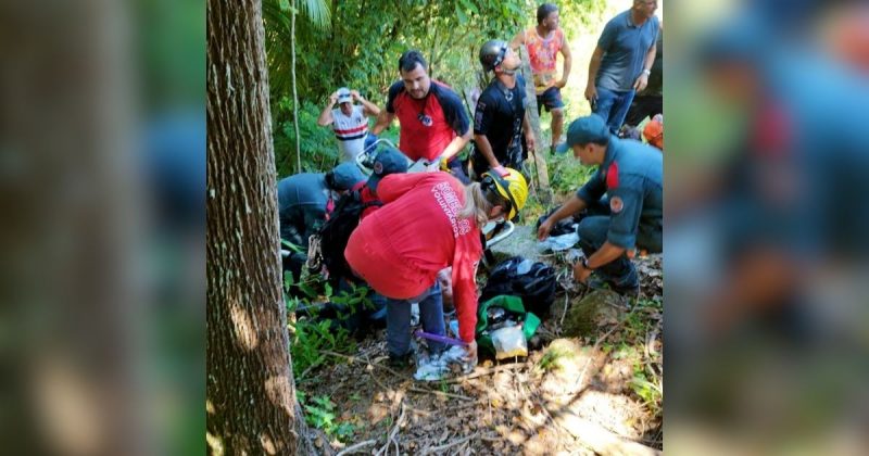 Idoso estava em uma área de mata