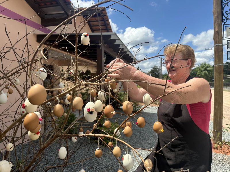 Segundo a cultura alem&atilde;, os galhos simbolizam a morte de Jesus e os ovos coloridos remetem &agrave; alegria da ressurrei&ccedil;&atilde;o de Cristo – Foto: Fernanda Ribas/ND
