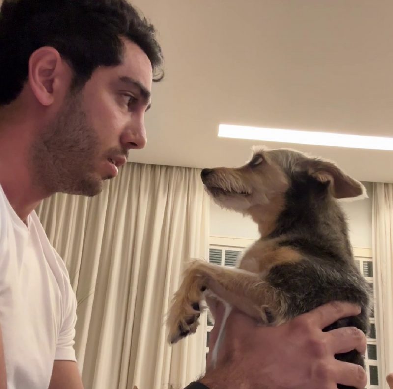 Conversa entre tutor e c&atilde;o viraliza nas redes – Foto: Reprodu&ccedil;&atilde;o/TikTok/ND