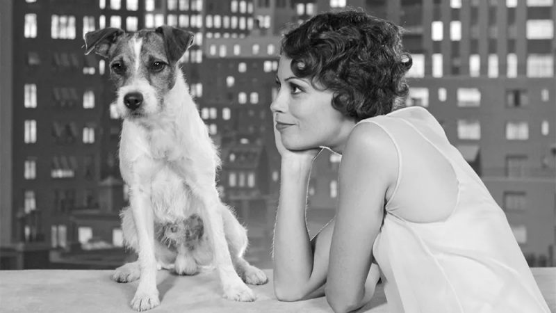 Imagem em preto e branco do filme O Artista, em que a atriz Bérénice Bejo sorri para o jack russell terrier Uggie.