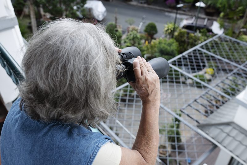 "Vovôs do crime" atuavam no litoral 