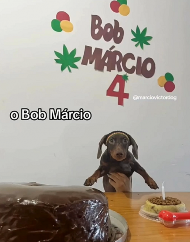 Salsicha tem festas de aniversário de parar a internet - Foto: Marcio Victor Dog/Reprodução/ND