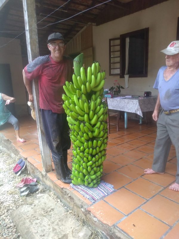 Família vendeu a colheita inusitada de 75 kg &#8211; Foto: Divulgação/Reprodução/ND